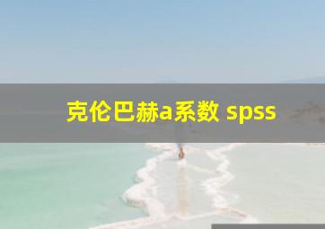 克伦巴赫a系数 spss